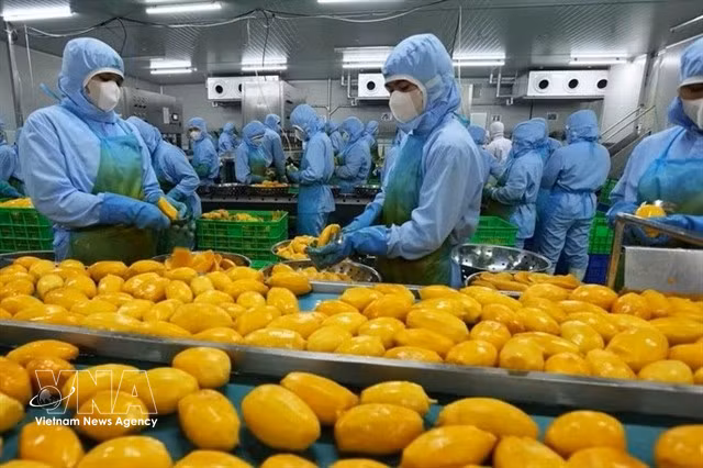 Workers at a food processing company in Dong Nai province (Photo: VNA)