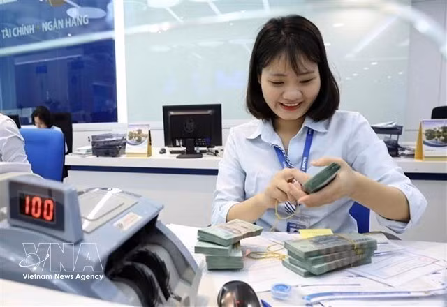 The State Bank of Vietnam set the daily reference exchange rate at 25,108 VND/USD on April 7. (Photo: VNA)