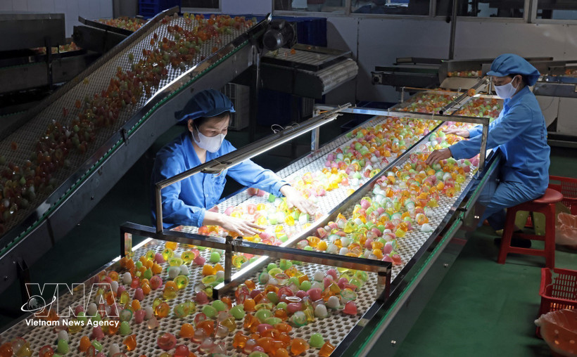 Jelly production at Long Hai Co., Ltd., Industrial Cluster 1, Thach Khoi ward, Hai Phong city (Photo: VNA)
