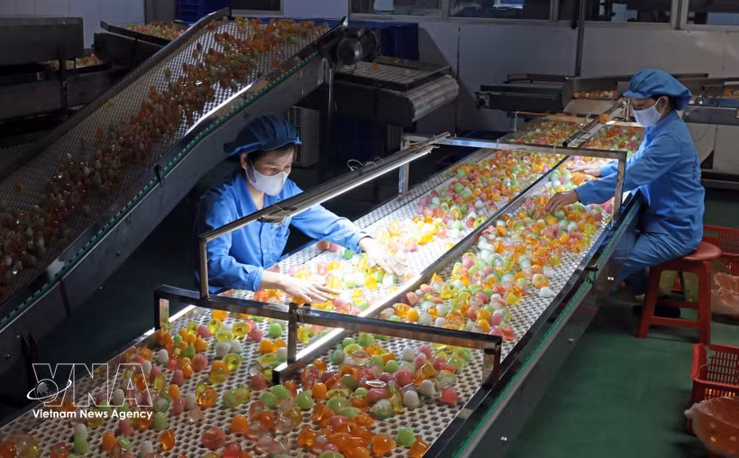 Jelly production at Long Hai Co., Ltd., Industrial Cluster 1, Thach Khoi ward, Hai Phong city (Photo: VNA)