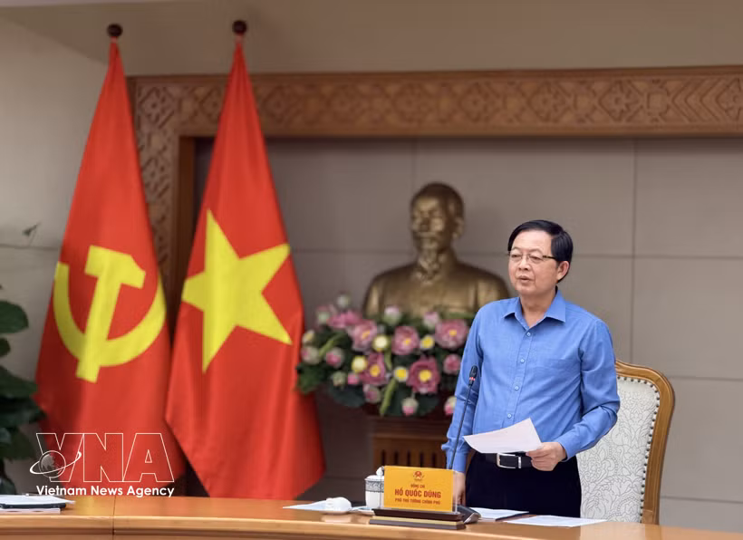 Deputy Prime Minister Ho Quoc Dung speaks at the meeting (Photo: VNA)