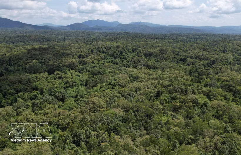 A view of the Ea So Nature Reserve in Dak Lak province (Photo: VNA)