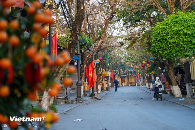 Streets filled with the green of trees and the red of flags present a vibrant, energetic beauty for the new day. (Photo: VNA)