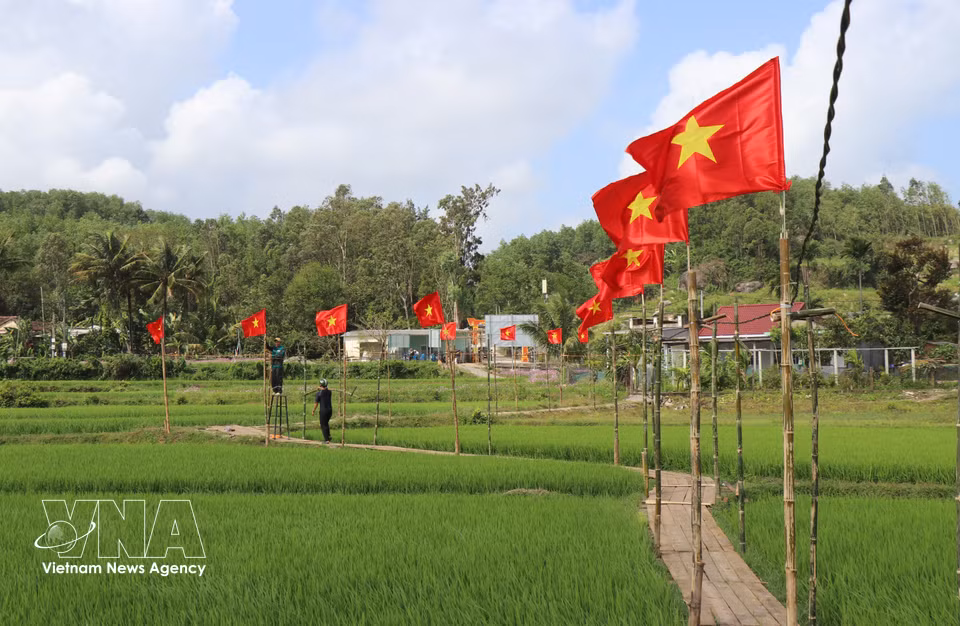 The road leading to the forest winds along lush green rice fields. (Photo: VNA)