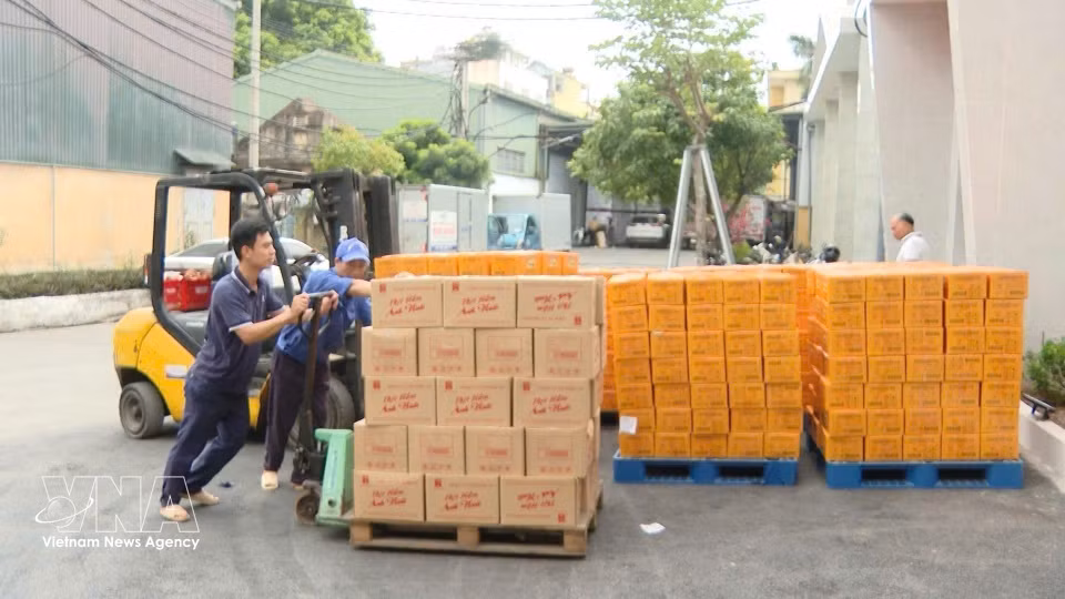 Vietnam People's Army ready to support earthquake relief efforts in Venezuela (Photo: VNA)