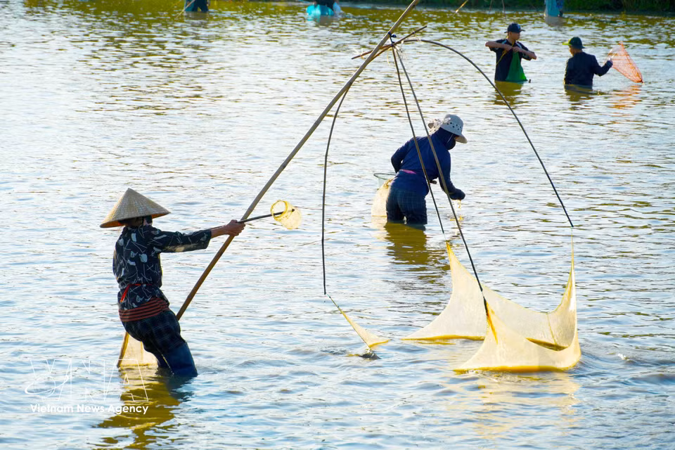 The festival unfolds amid the charm of Vietnam’s traditional rural culture at Vuc lagoon in Nghi Xuan commune. (Photo: VNA)