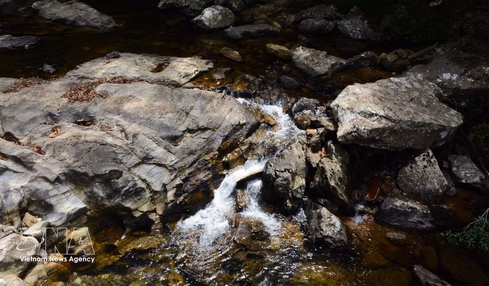 Bach Ma boasts a cool, refreshing stream system with a charming and mystical beauty, winding through old-growth forests. (Photo: VNA)