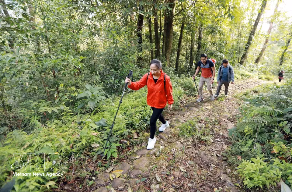 The Pavie stone road connects villages in Lai Chau and Lao Cai, running through pristine old-growth forests. (Photo: VNA)