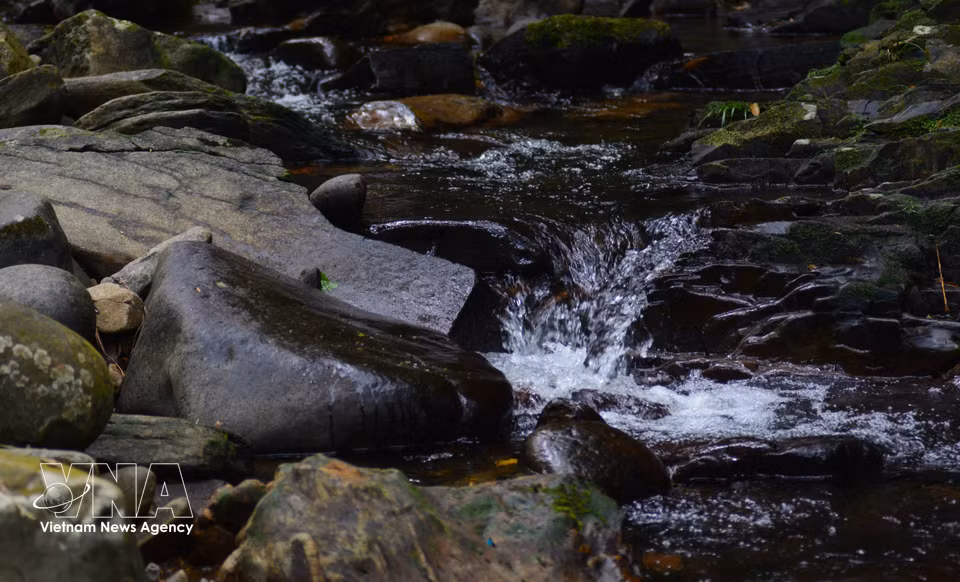 Bach Ma’s stream system features cool, clear water flowing through ancient forests. (Photo: VNA)