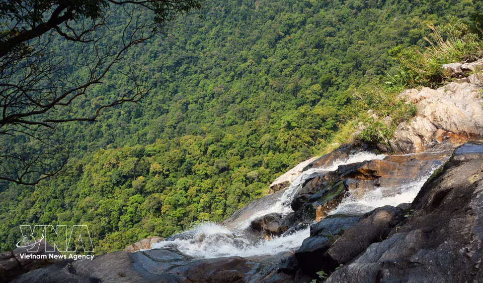 With a height of approximately 300m, the water cascading from the top of Do Quyen Waterfall creates a white, frothy stream, standing out against the deep green backdrop of the ancient forest. (Photo: VNA)