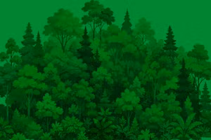 Top leader sets out six major tasks to advance a greener Vietnam