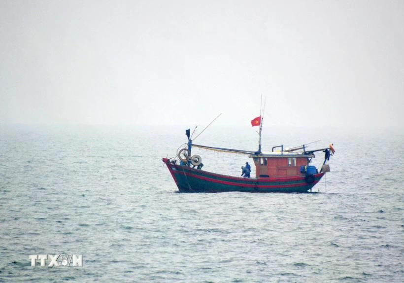 A Vietnamese fishing vessel operating in the northern waters of the Gulf of Tonkin. (Photo: VNA)