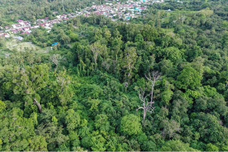 This aerial photo taken on Feb. 14, 2025, shows forest areas that surround a village in Sigi, Central Sulawesi province. (Illustrative photo: Antara News) 