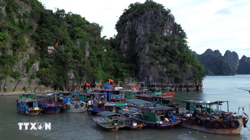 Fishing vessels taking shelter against storm (Photo: VNA)