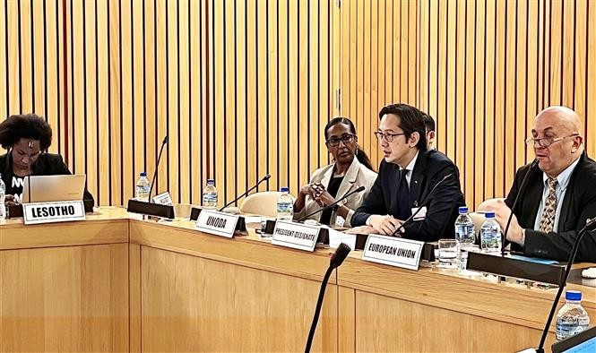 Ambassador Do Hung Viet (second from right), Permanent Representative of Vietnam to the United Nations and President-designate of the 11th Review Conference (RevCon11) of the Treaty on the Non-Proliferation of Nuclear Weapons (NPT), speaks at the African Regional Consultation. (Photo: VNA)