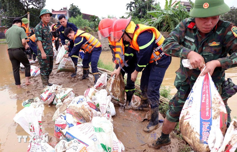 Forces are working to reinforce the Cau River dike (Photo: VNA)