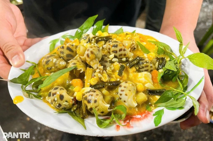 Snail dishes are attractively prepared, drawing the attention of diners. (Photo: dantri.com.vn)