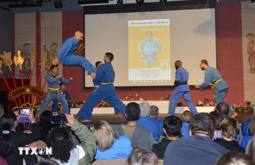 A Vovinam performance - Illustrative image (Photo: VNA)