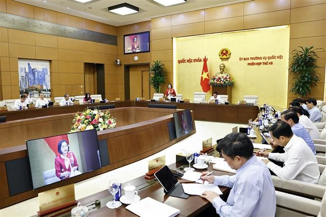 NA Vice Chairwoman Nguyen Thi Thanh speaks at the 49th session of the NA Standing Committee (Photo: VNA)