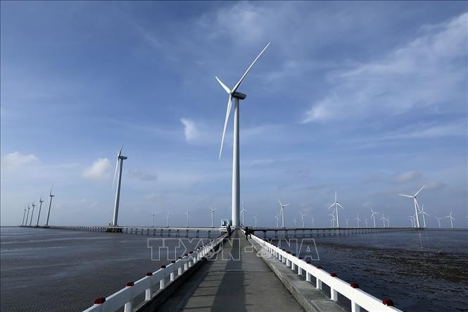 Bac Lieu Wind Power Plant has 62 turbines with a total estimated capacity of 99MW. (Photo: VNA)