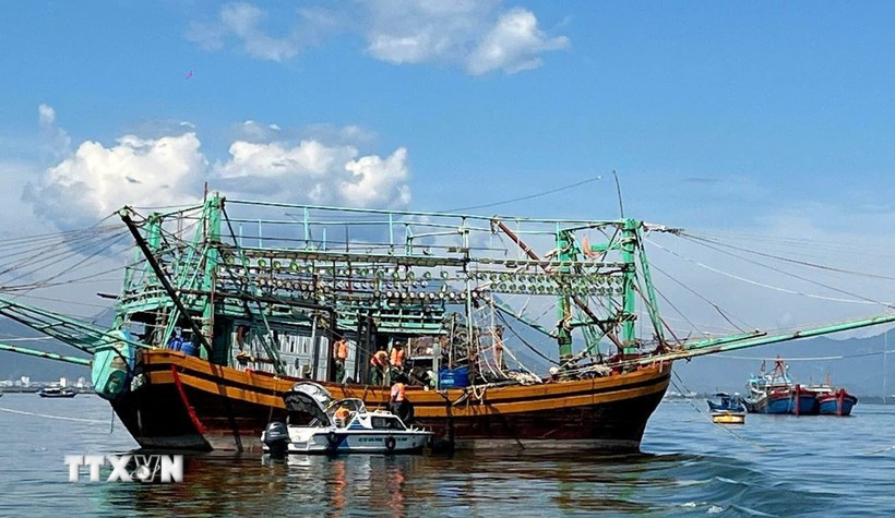 Da Nang Border Guard officers inspect the departure documents of a fishing vessel. (Photo: VNA) 