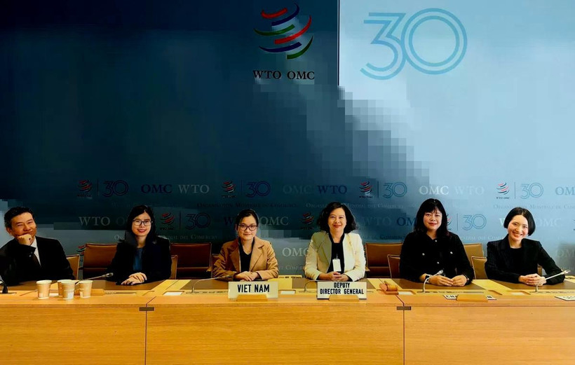 The Vietnamese delegation attends the WTO Committee on Rules of Origin's regular session (Photo: Agency of Foreign Trade)