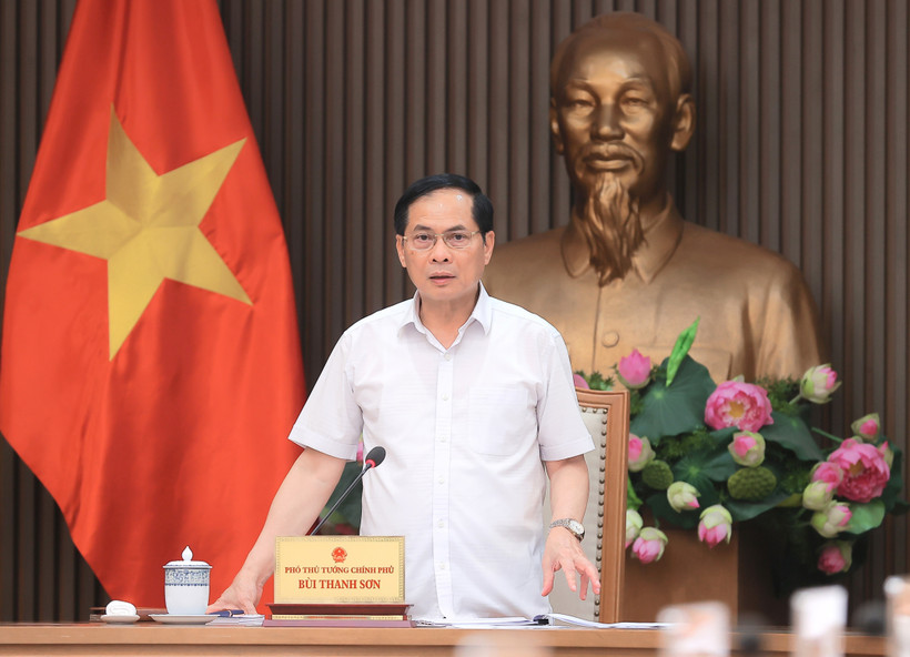 Deputy Prime Minister and Minister of Foreign Affairs Bui Thanh Son speaks at the meeting (Photo: VNA)