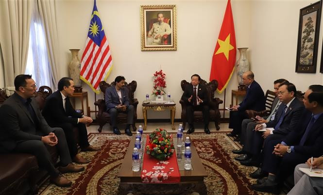 Vietnamese Deputy Prime Minister Tran Hong Ha (R) receives President of the Malaysia–Vietnam Chamber of Commerce (MVCC) Richard Khor. (Photo: VNA)