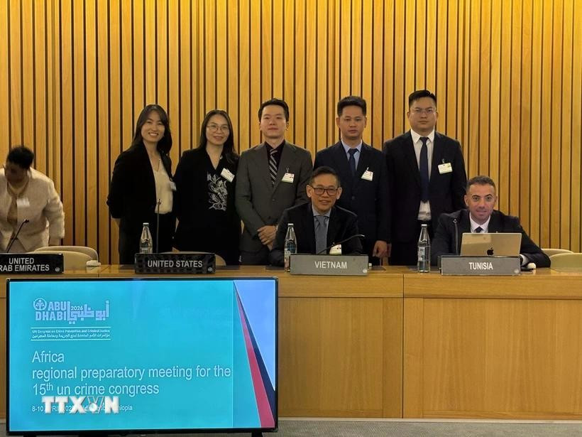The Vietnamese delegation attends the African Regional Preparatory Meeting for the 15th UN Congress on Crime Prevention and Criminal Justice. (Photo: VNA)