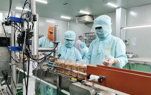 Cashew packaging at LAFOOCO, the first State-owned enterprises in Vietnam's cashew industry to go private. (Photo: VNA)