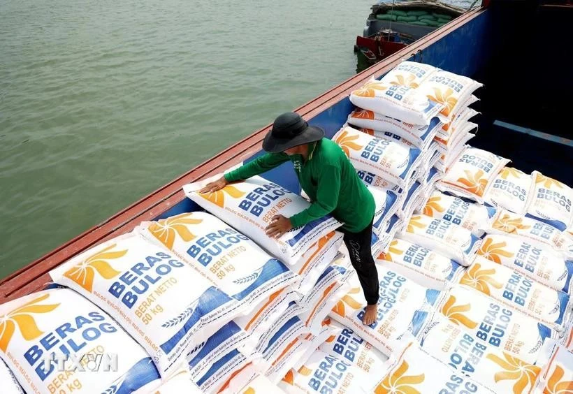 Rice for export (Photo: VNA)