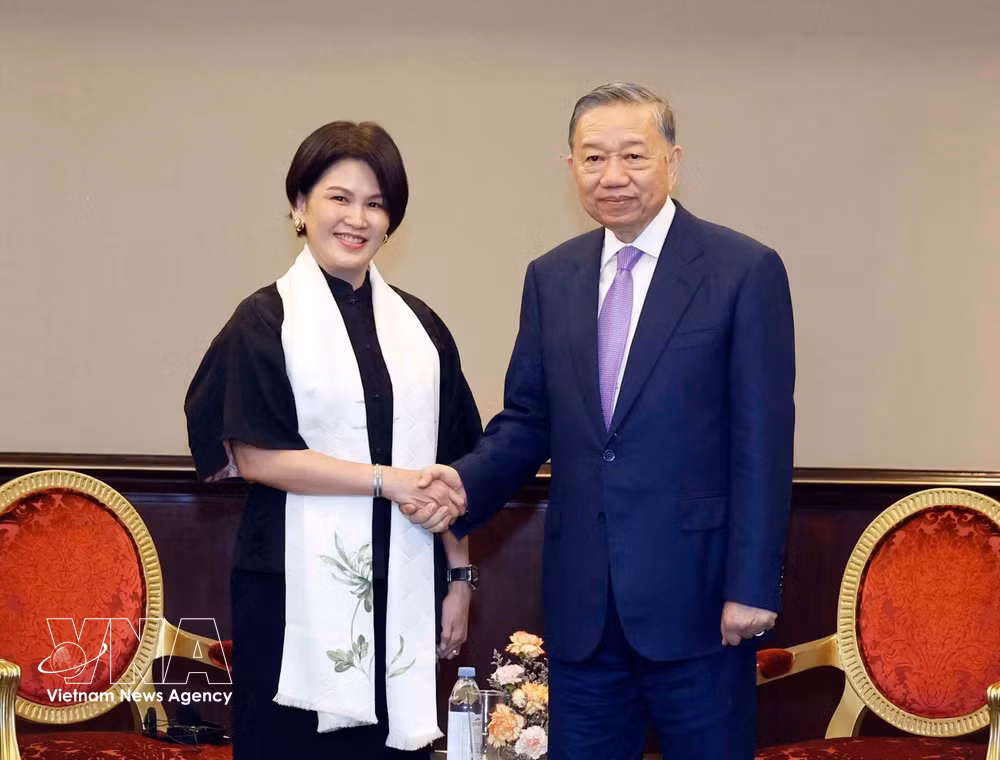 vnanet-vietnams-top-leader-receives-grabs-chin-yin-ong.jpg
