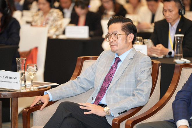 Mr. Do Nam Trung, Director General of the Department of Northeast Asian Affairs, the Ministry of Foreign Affairs of Vietnam, at the event. (Photo: courtesy of the organisers) pr-3.jpg