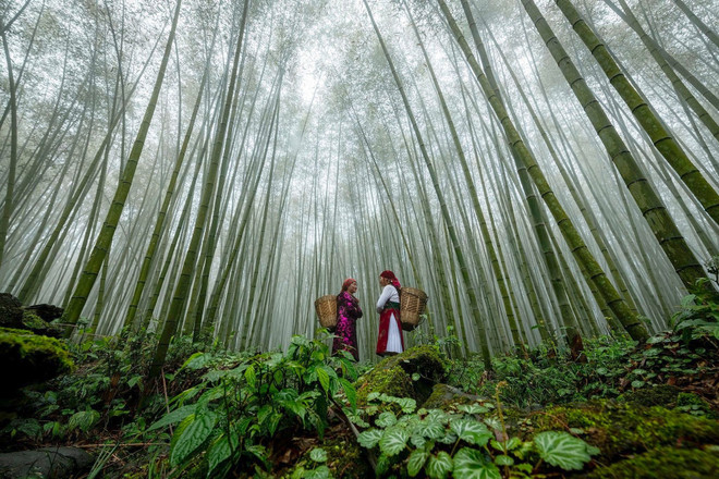 The natural beauty and cultural life of Ha Giang’s people hold a special allure. (Photo: VietnamPlus) ha-giang-4.jpg
