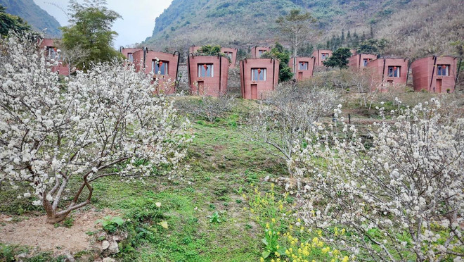 The Mong Village eco-resort has been recognised as Ha Giang’s first provincial-level tourist area for its scale and unique architecture. (Photo: VietnamPlus) ha-giang-5.jpg