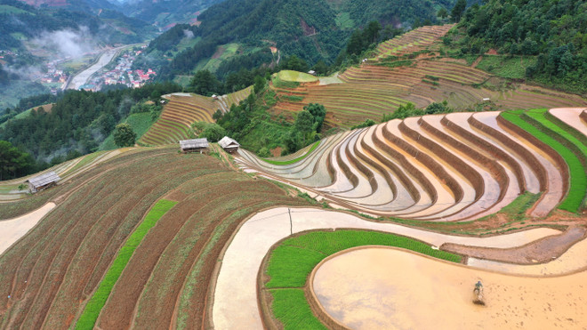 Coming to Mu Cang Chai during the flooding season, travelers can immerse themselves in the cool, fresh air and enjoy the shimmering terraced fields under the sunlight from above. (Photo: VNA) 7.jpg
