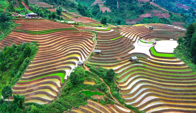 The vast terraced rice fields in Mu Cang Chai are created by the H’Mong people living in the area. (Photo: VNA) 5.jpg