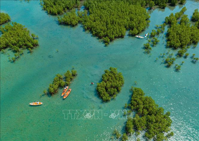 An aerial view of the Dam Bay mangrove forest in Nha Trang Bay in Khanh Hoa province. (Photo: VNA)