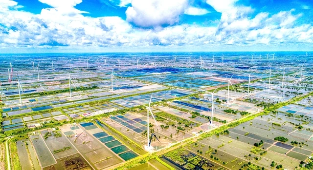 A wind farm in Bac Lieu province. Energy companies are planning investments in renewable energy to capture opportunities from energy transition. (Photo: VNA)