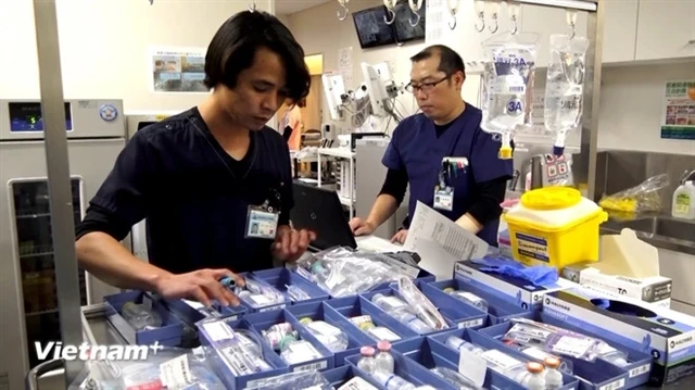 Vietnamese nurses working in Japan (Photo: VNA)