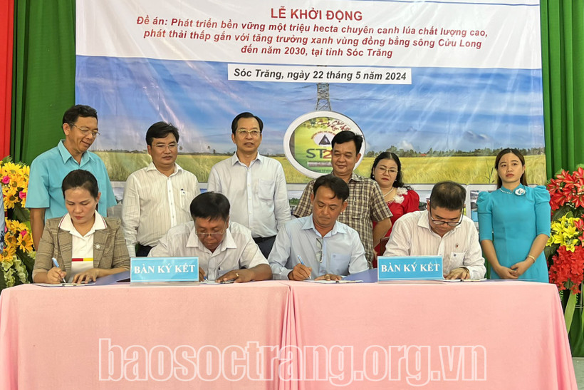 At the ceremony in Soc Trang on May 22, companies and enterprises signs a memorandum of understanding for cooperation in rice production and consumption with the Hung Loi Agricultural Cooperative, which is piloting 50 hectares of rice under the project. (Photo: baosoctrang.org)