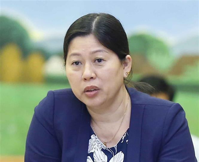 Deputy Secretary of the Party Civil Affairs Committee and Deputy Minister of the Ministry of Natural Resources and Environment Nguyen Thi Phuong Hoa (Photo: VNA)