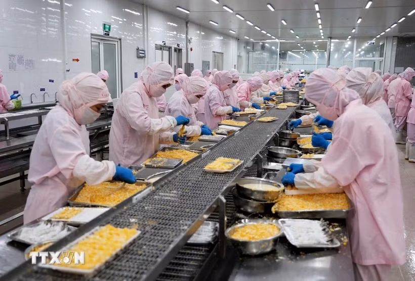 Processing aquatic products for export (Photo: VNA)