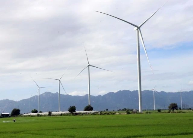 A wind power farm in Ninh Thuan province. (Photo: VNA)