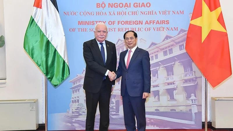 Deputy Prime Minister and Minister of Foreign Affairs Bui Thanh Son (right) receives Special Envoy of the President and Advisor for International Affairs of Palestine Riad Malki in Hanoi on December 25. (Photo: VNA)