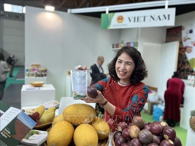 Introducing Vietnamese farm produce at the 41st Macfrut Fair in Rimini City, Emilia-Romagna region, Italy. (Photo: VNA)