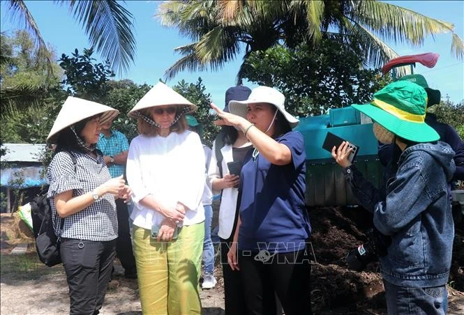 The Can Tho agricultural sector's representative introduces a pilot model of high-quality and low-emission rice cultivation to the Canadian Embassy's delegation. (Photo: VNA)