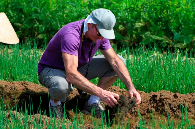 Foreign tourists experience the feeling of being a farmer in Tra Que vegetable village (Photo: VietnamPlus)