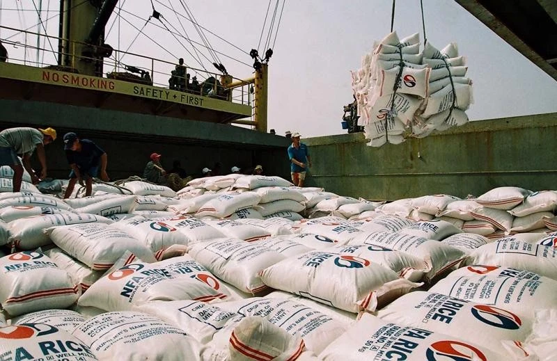 Vietnam's rice exports to Malaysia records impressive growth of 9.4%, bringing in nearly 400 million USD. (Photo: https://vneconomy.vn/)