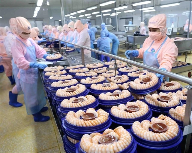 A shrimp processing line for export at Minh Phu Seafood Corp. This is one of large enterprises in Vietnam that has implemented green development (Photo: VNA)